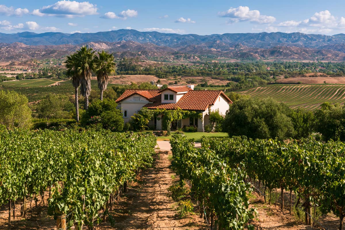 16 Boutique & Small-Production Wineries in Temecula